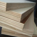 1220*2440mm Poplar Core Melamine plywood for Furniture